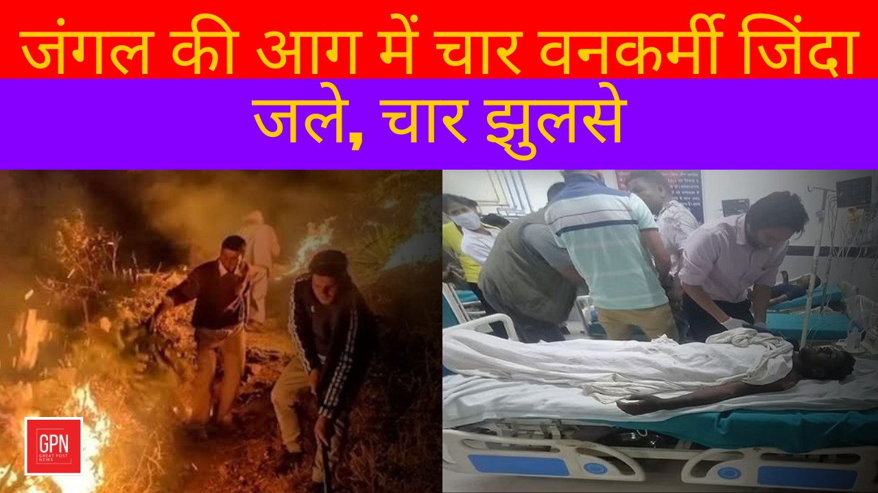 आग में झुलसने से चार वनकर्मियों की मौत || Great Post News